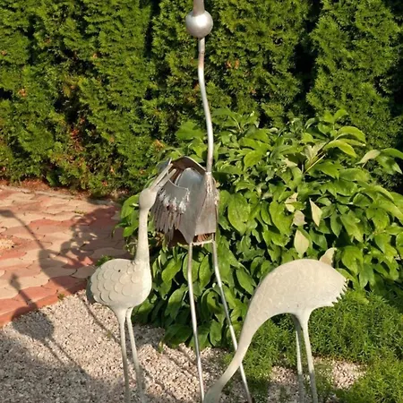 Hochwertiges In Mit Grill, Terrasse Und Pool * Balatonbereny